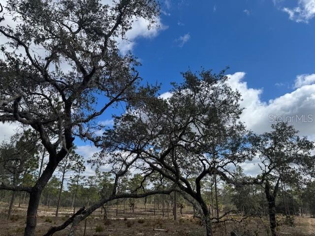 Lot C SE STATE ROAD 121