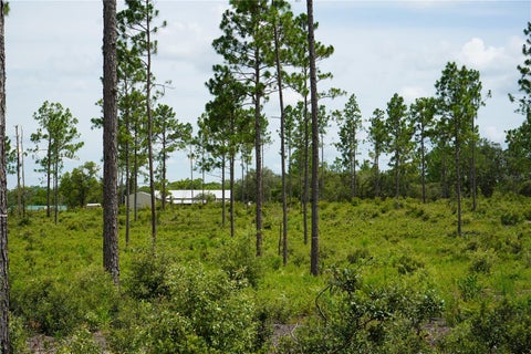 Tiny photo for SE State Road 121 Lot C & D, Morriston, FL 32668 (MLS # OM695504)