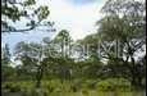 Tiny photo for SE State Road 121 Lot C & D, Morriston, FL 32668 (MLS # OM695504)