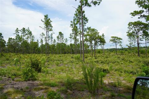 Tiny photo for SE State Road 121 Lot C & D, Morriston, FL 32668 (MLS # OM695504)