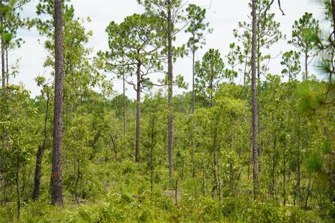 Tiny photo for SE State Road 121 Lot C & D, Morriston, FL 32668 (MLS # OM695504)