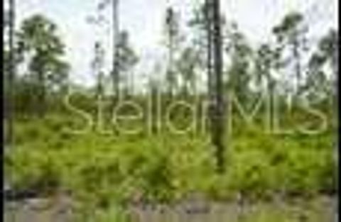 Tiny photo for SE State Road 121 Lot C & D, Morriston, FL 32668 (MLS # OM695504)