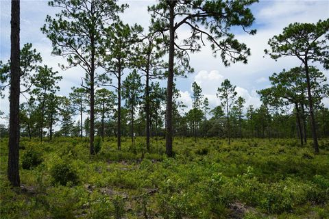 Tiny photo for SE State Road 121 Lot C & D, Morriston, FL 32668 (MLS # OM695504)