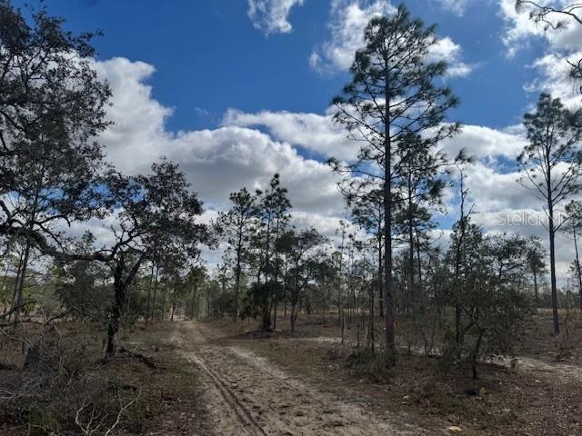 Lot C SE STATE ROAD 121