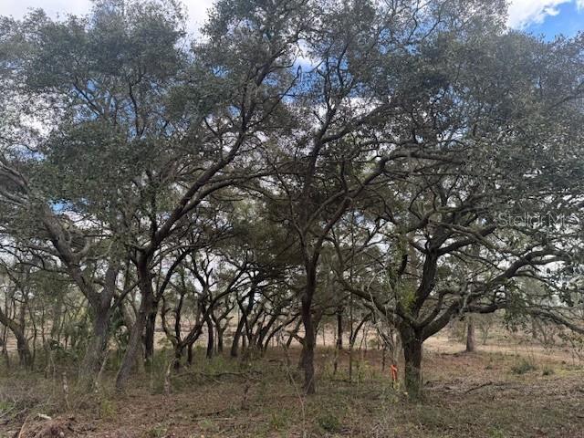 Lot C SE STATE ROAD 121