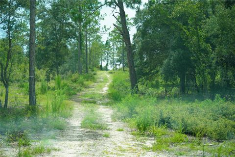 Tiny photo for SE State Road 121 Lot C & D, Morriston, FL 32668 (MLS # OM695504)