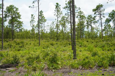 Tiny photo for SE State Road 121 Lot C & D, Morriston, FL 32668 (MLS # OM695504)