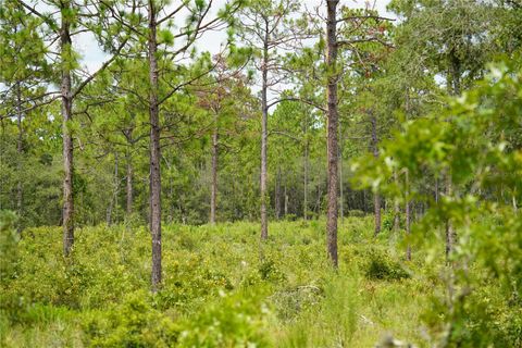 Tiny photo for SE State Road 121 Lot C & D, Morriston, FL 32668 (MLS # OM695504)