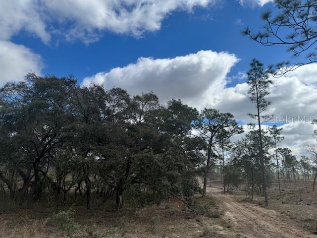 Lot C SE STATE ROAD 121