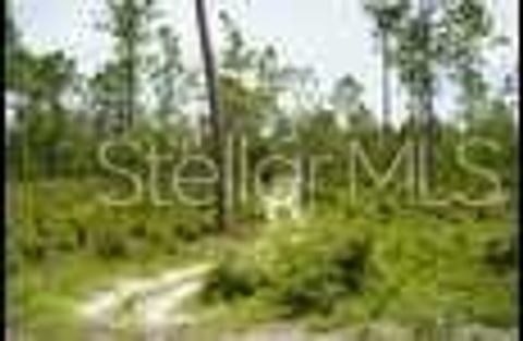 Tiny photo for SE State Road 121 Lot C & D, Morriston, FL 32668 (MLS # OM695504)