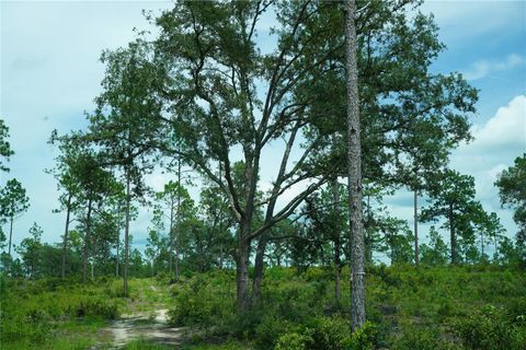 Tiny photo for SE State Road 121 Lot C & D, Morriston, FL 32668 (MLS # OM695504)
