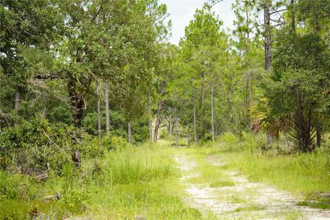 Tiny photo for SE State Road 121 Lot C & D, Morriston, FL 32668 (MLS # OM695504)