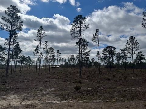 Lot C SE STATE ROAD 121 MORRISTON FL 32668