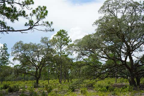Tiny photo for SE State Road 121 Lot C & D, Morriston, FL 32668 (MLS # OM695504)