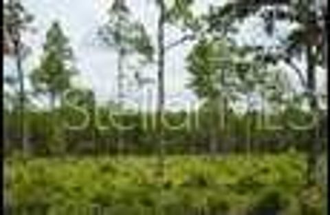 Tiny photo for SE State Road 121 Lot C & D, Morriston, FL 32668 (MLS # OM695504)