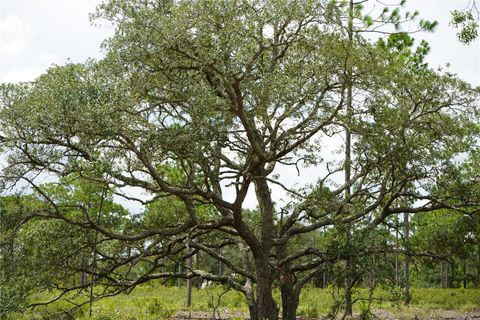 Tiny photo for SE State Road 121 Lot C & D, Morriston, FL 32668 (MLS # OM695504)