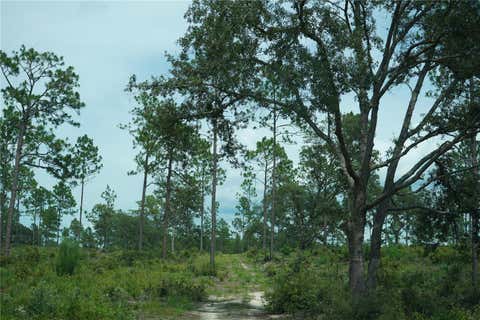 Tiny photo for SE State Road 121 Lot C & D, Morriston, FL 32668 (MLS # OM695504)