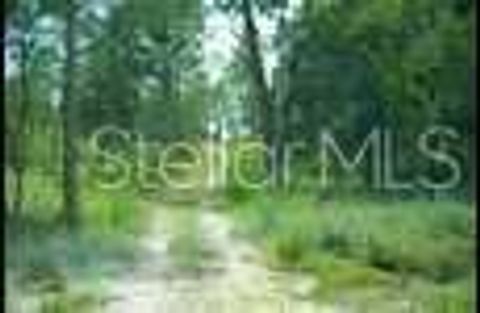 Tiny photo for SE State Road 121 Lot C & D, Morriston, FL 32668 (MLS # OM695504)