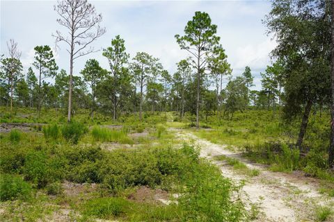 Tiny photo for SE State Road 121 Lot C & D, Morriston, FL 32668 (MLS # OM695504)