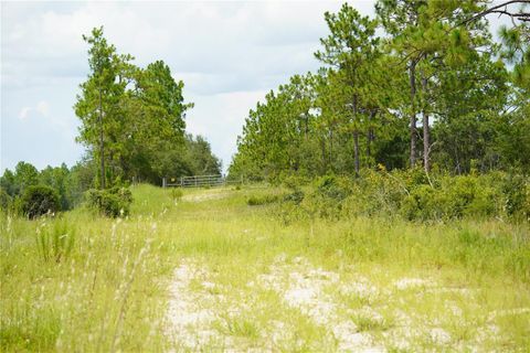 Tiny photo for SE State Road 121 Lot C & D, Morriston, FL 32668 (MLS # OM695504)