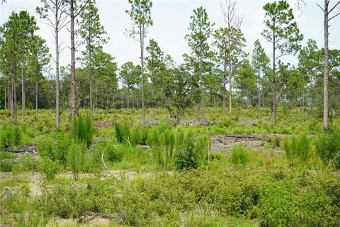Tiny photo for SE State Road 121 Lot C & D, Morriston, FL 32668 (MLS # OM695504)