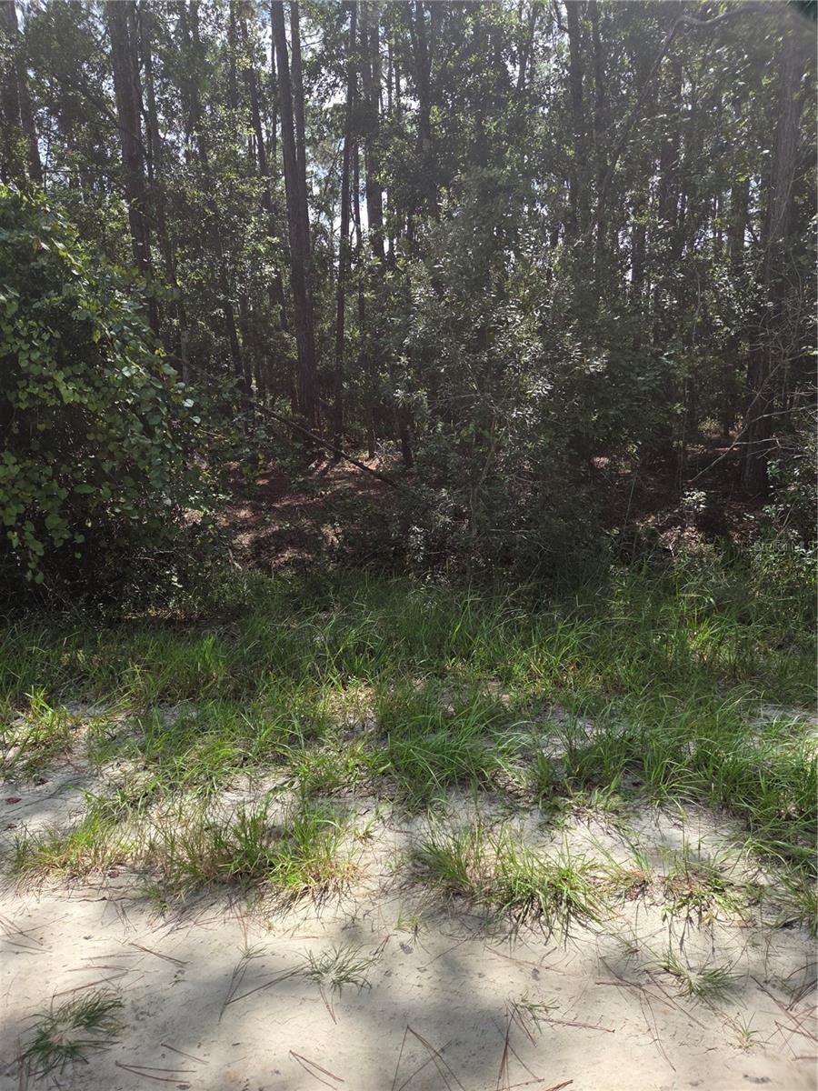 PARADISE LAKES SUB - Land