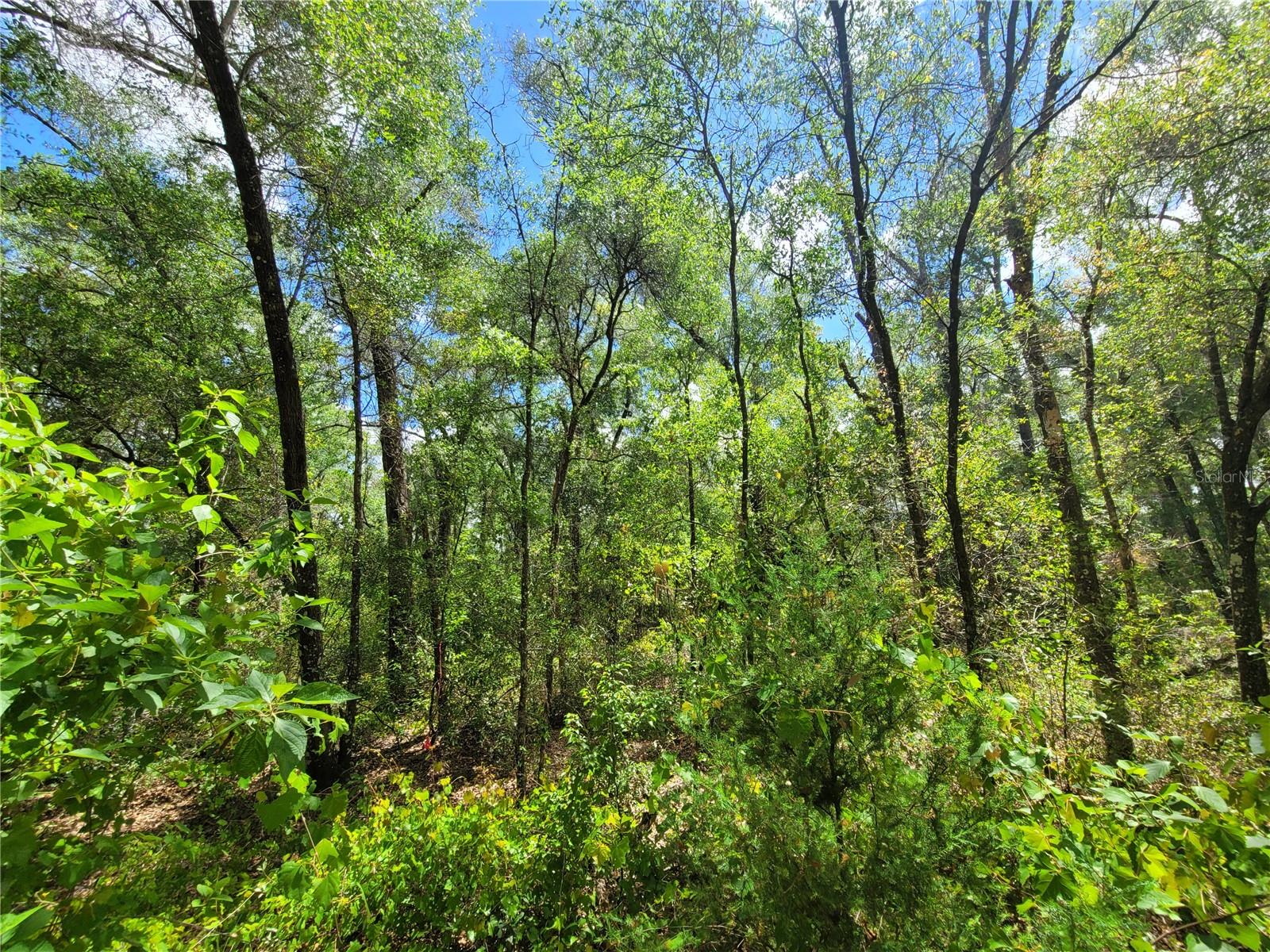 INVERNESS ACRES UNIT 2 - Land