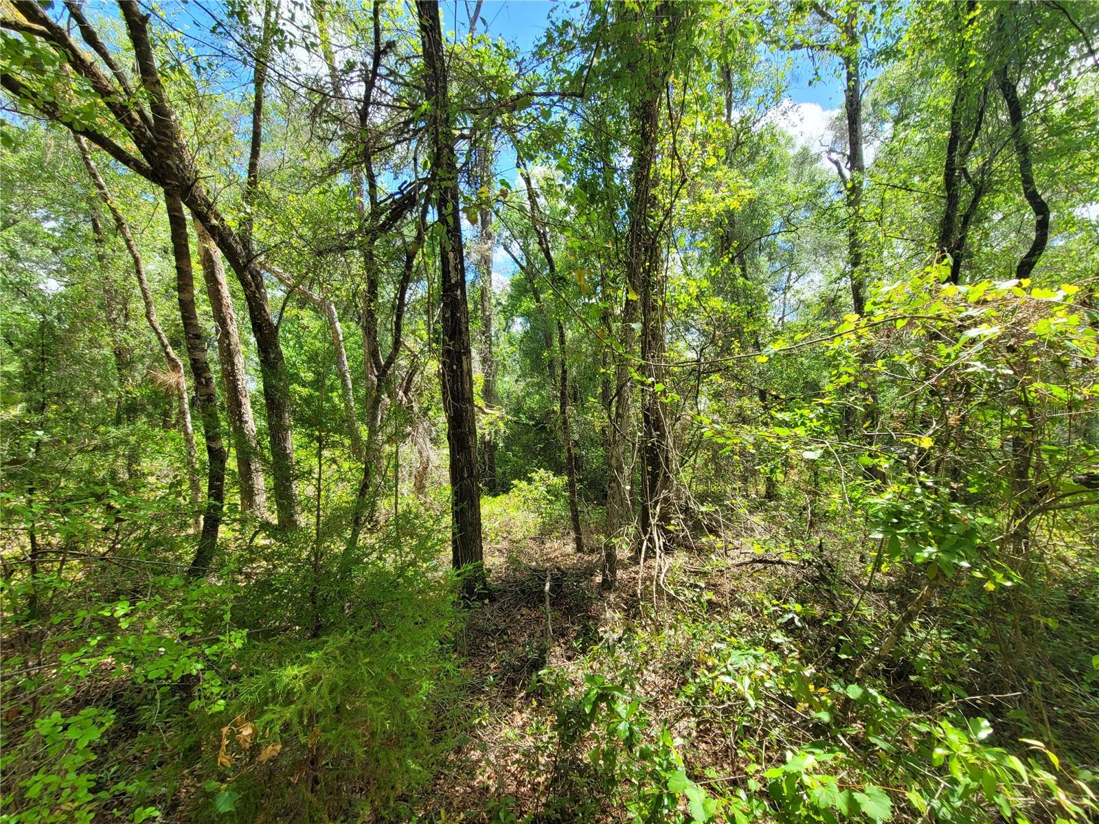 INVERNESS ACRES UNIT 2 - Land
