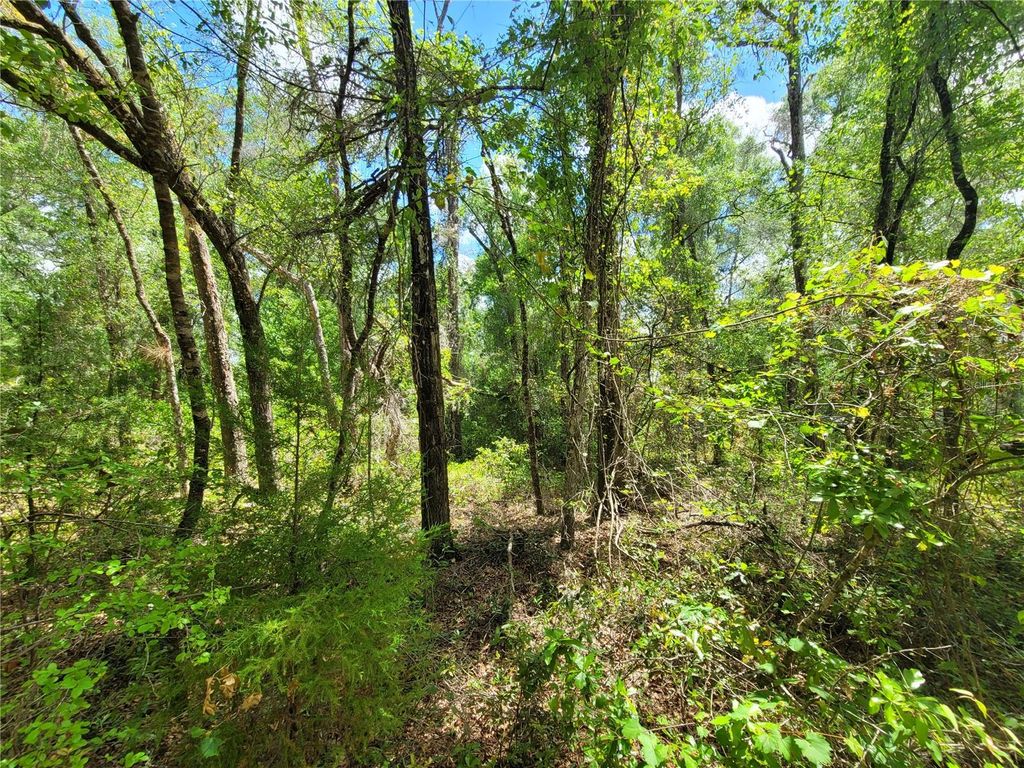 Photo of 910 Ferncreek Avenue, Inverness, FL 34453 (MLS # TB8503841)