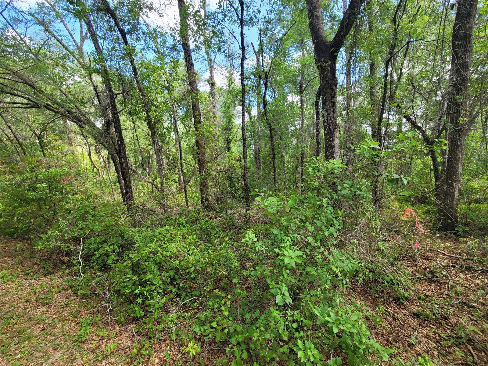 INVERNESS ACRES UNIT 2 - Land