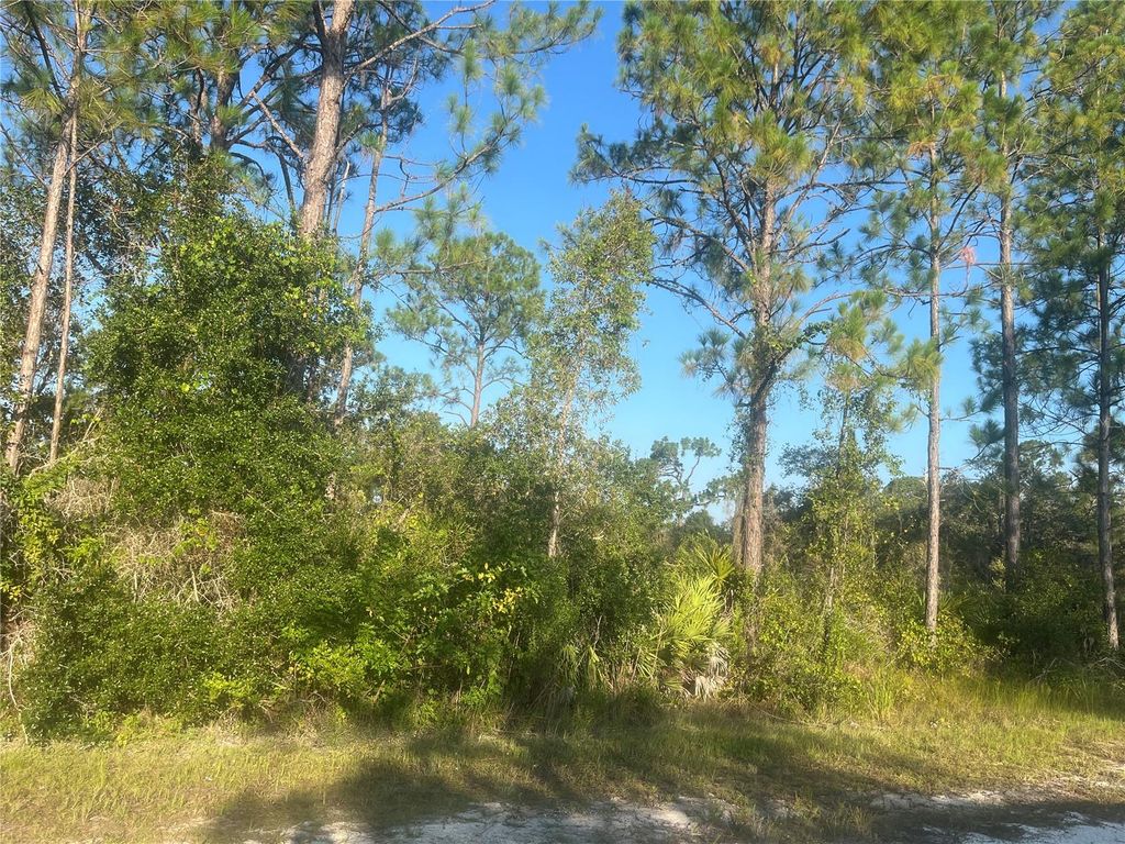 Photo of 0000 Columbus Drive, Indian Lake Estates, FL 33855 (MLS # O6330709)