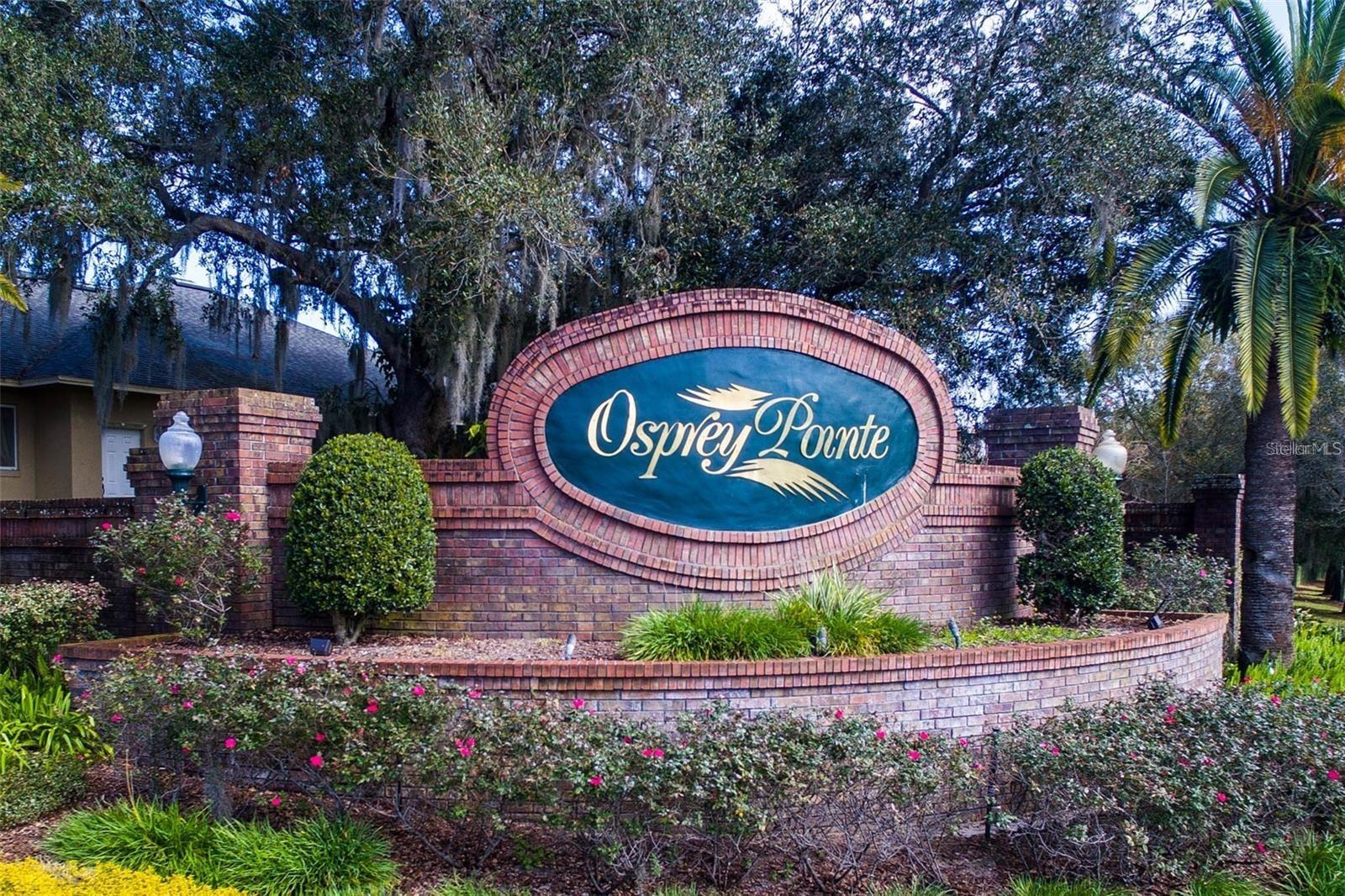Pre-Construction opportunity available!
This exceptional direct Lakefront property on Lake Minnehaha offers breathtaking sunset views. Situated on over one acre in Osprey Pointe, one of Clermont’s most premiere neighborhoods, is ready for your dream home. The expert team at Trilogy homes will work with you customize your ideal residence.
Don't miss one of the last remaining direct lakefront lots on Clermont’s Chain of Lakes. Schedule your appointment today to see this incredible property!