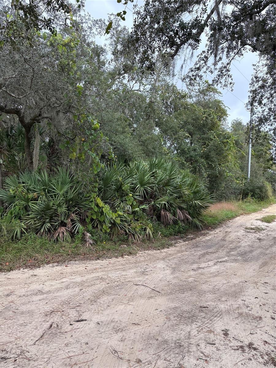 CYPRESS DRIVE