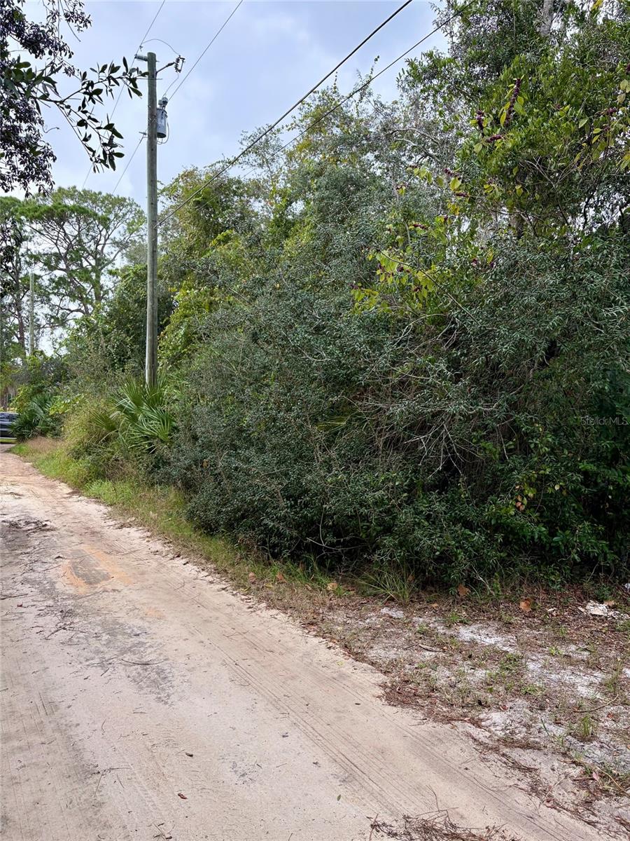 CYPRESS DRIVE