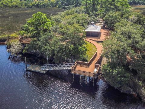 A home in FERNANDINA BEACH