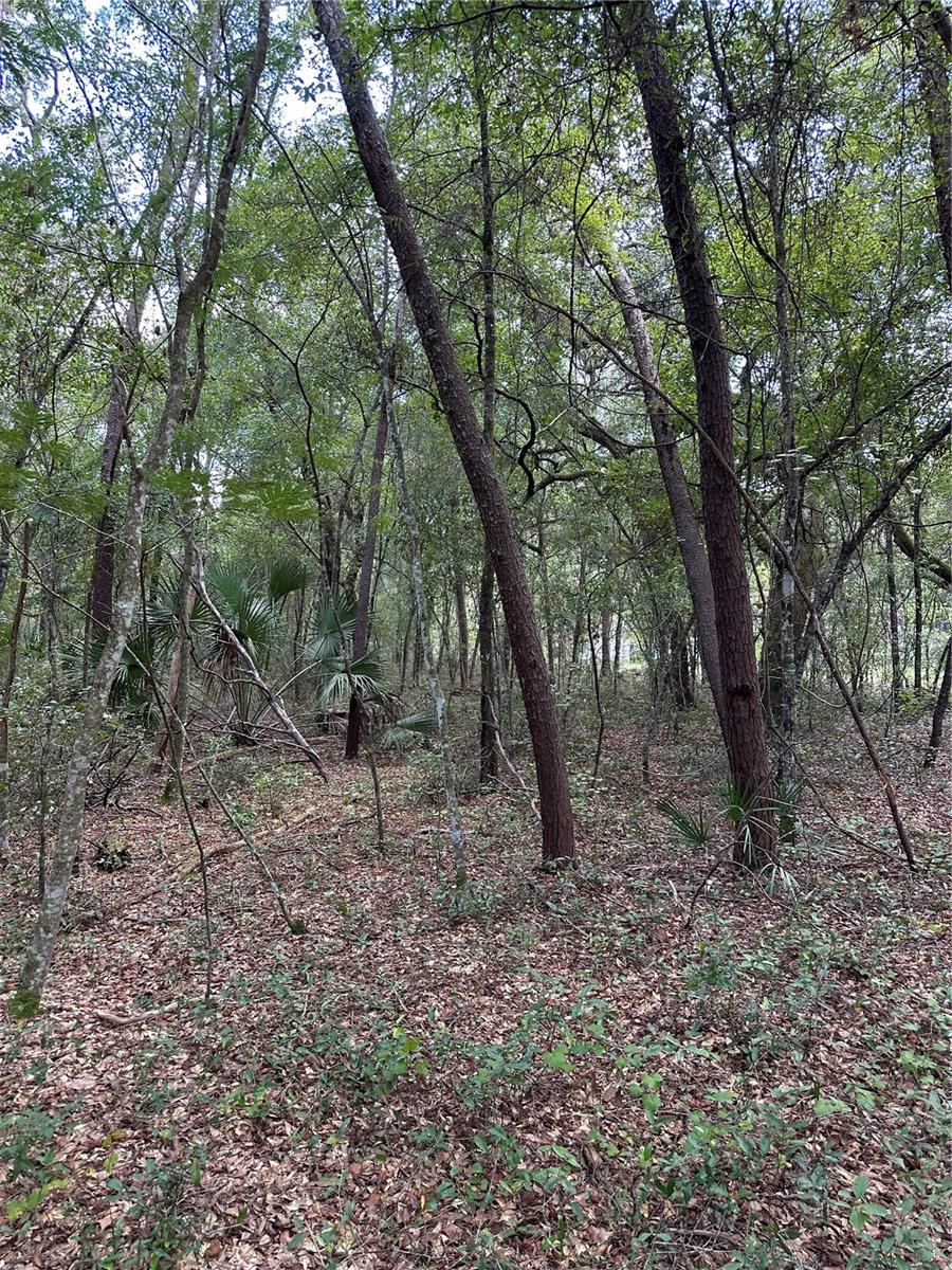 LAKE VIEW MANOR - Land