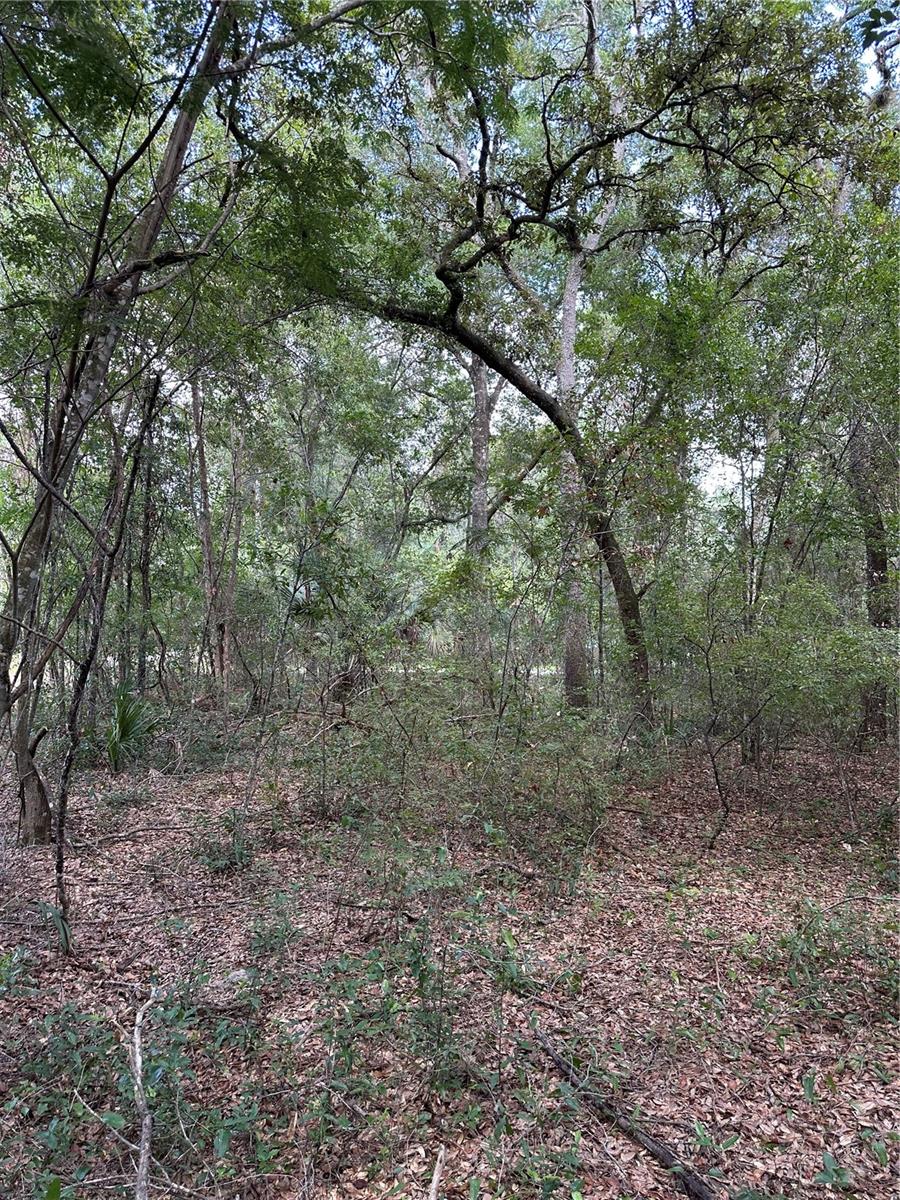 LAKE VIEW MANOR - Land