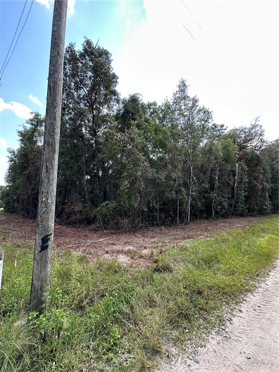 LAKE VIEW MANOR - Land