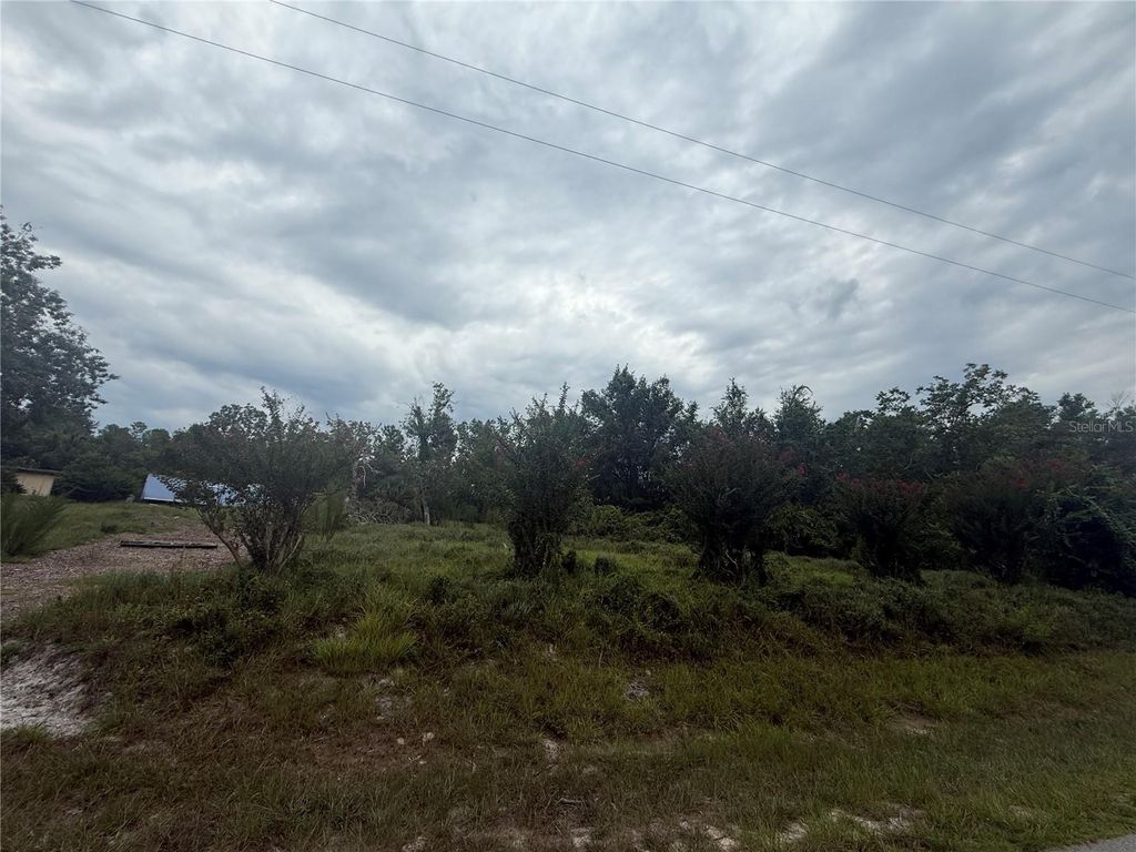 Photo of 31514 Division Street, Deland, FL 32720 (MLS # V4944659)