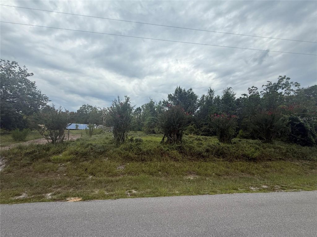 Photo of 31514 Division Street, Deland, FL 32720 (MLS # V4944659)