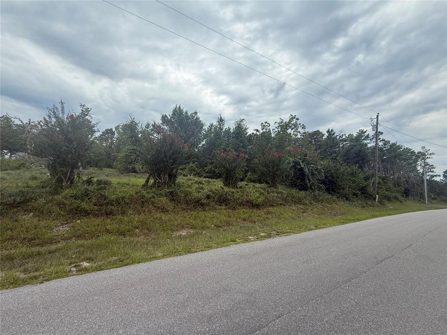 Welcome to your own private retreat, rare opportunity to build your custom home in this 5-acre lot or may subdivide, opportunities are endless on this beautiful lot, call before it says sold.