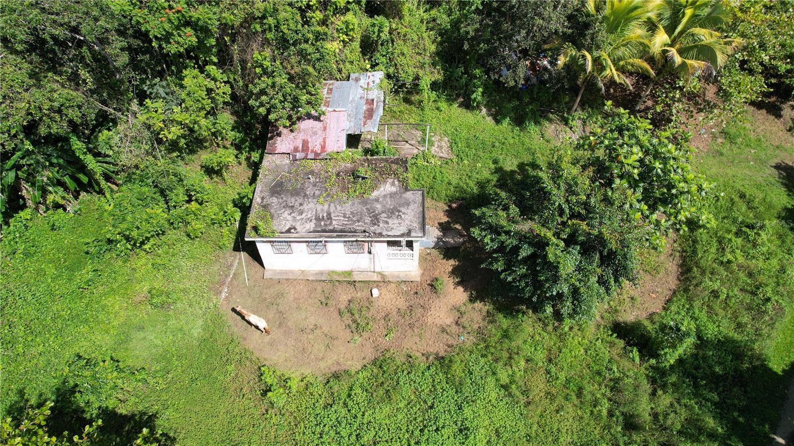 BO. MONTANA - Residential