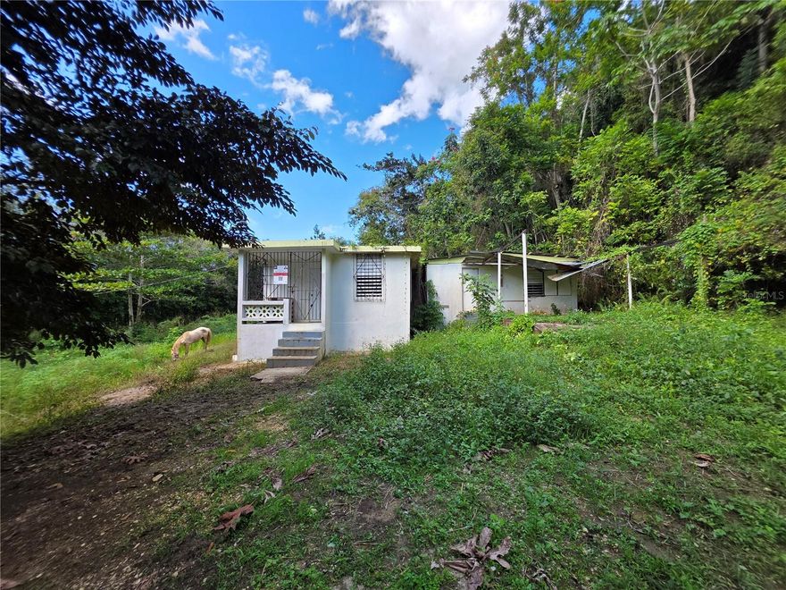 ?? **Investment Opportunity in Arecibo, Puerto Rico ??

Looking for an affordable property with land and potential? This **2-bedroom, 1-bath home** sits on **2.24 acres** in the peaceful countryside of Arecibo—perfect for **farming, retirement living, or your next investment project**.

?? Property needs significant repairs, making it ideal for **cash buyers, investors, or anyone ready to renovate and add value**.

? Large lot with endless possibilities
? Quiet rural setting with privacy and nature

Don’t miss this chance to own land in Puerto Rico at an unbeatable price.
?? Message me today for more details or to schedule a showing.