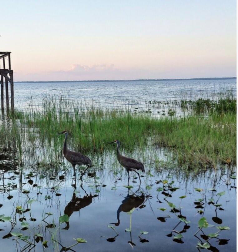 SOUTH SHORE OAKS REP - Residential