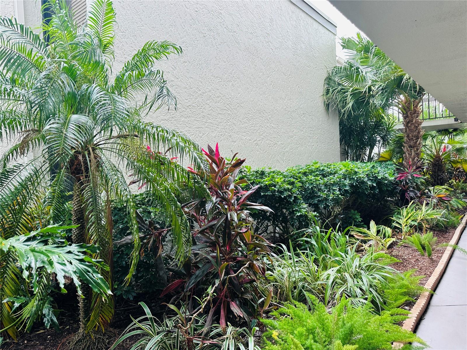 BAHIA DEL MAR I - Residential