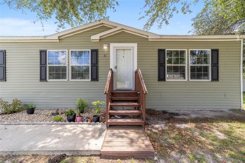 Photo of 51 SE 70th Circle, Ocala, FL 34472 (MLS # OM703809)