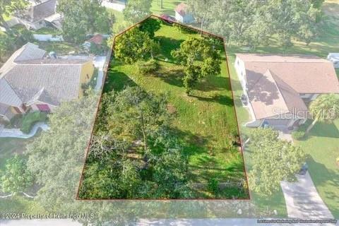 Photo of 10067 Bedford Road, Spring Hill, FL 34608 (MLS # W7888688)
