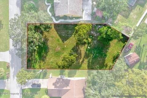 Photo of 10067 Bedford Road, Spring Hill, FL 34608 (MLS # W7888688)