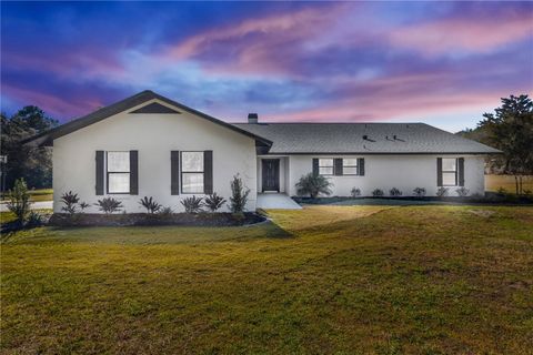 Photo of 209 Oakapple Trail, Lake Helen, FL 32744 (MLS # V4946097)