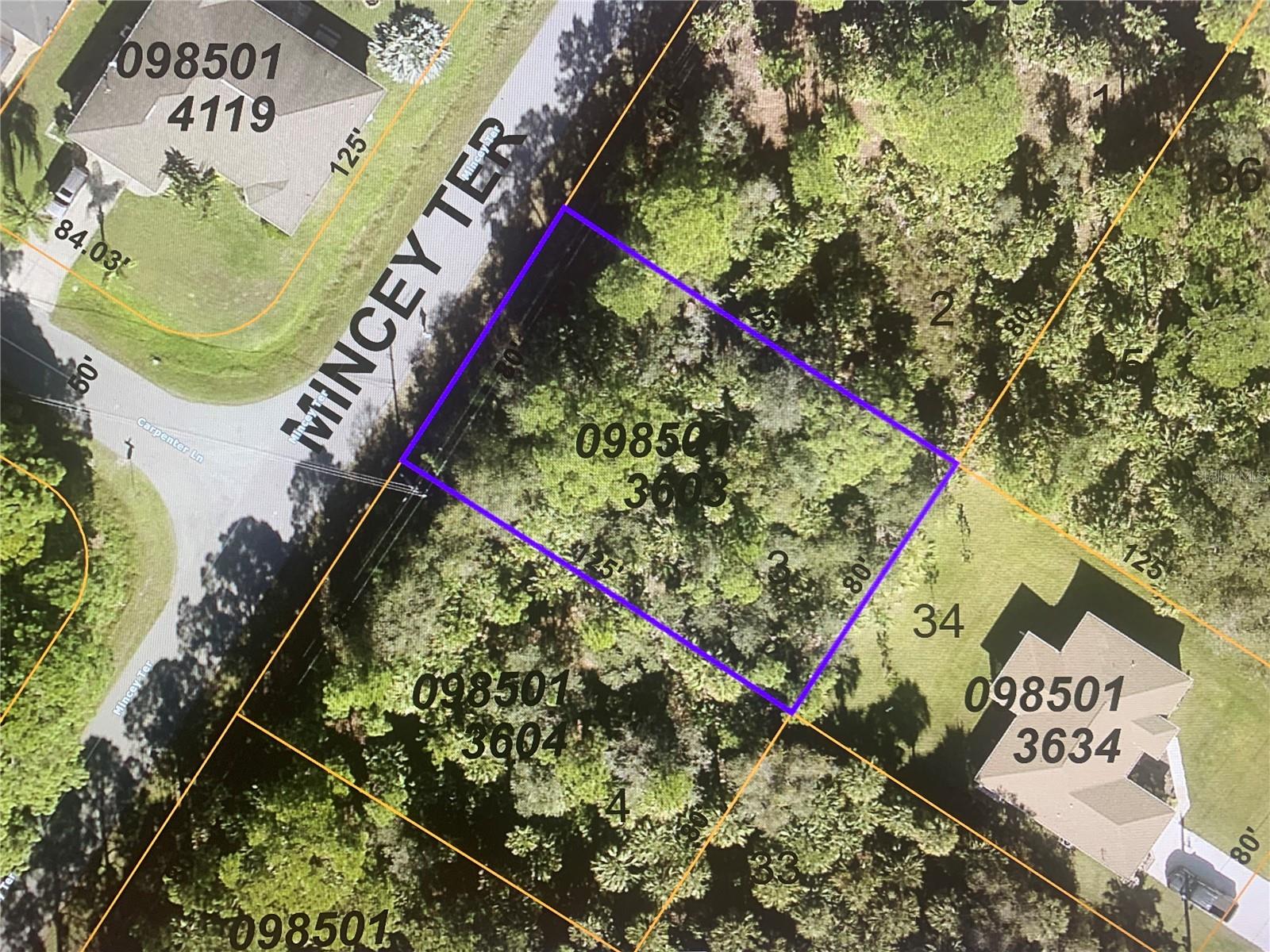 There is new construction all over the North Port area and it is a good time to build in the area. NOT IN FLOOD ZONE, NO CDD OR HOA ,NO DEED RESTRICTIONS! Close to I-75 for easy commute and also close to shopping, restaurants, and other activities are only minutes away from the property. Buyer to verify any utility easements and or building restrictions (if any) and specifications with the city or county.